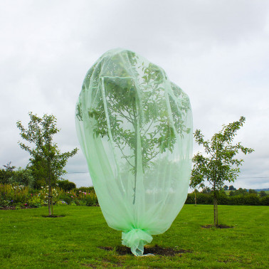 Fruit Tree Protector