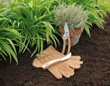 Garden Pruning Set