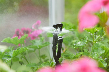 Greenhouse Watering Kit