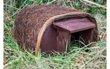 Hedgehog Haus