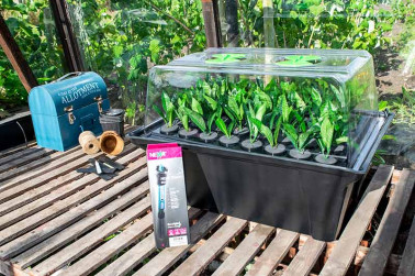 Hydropod 40 cuttings with lights
