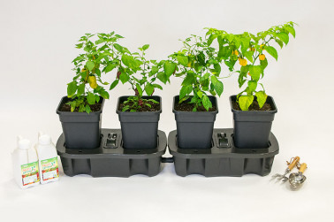 Quadgrow Self Watering Planter  - Trowel and Scoop Sold Separately 