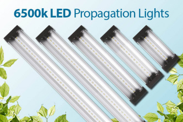 LED Lights - Propagation