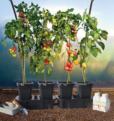 Set of 2 Quadgrows (for 8 plants) 