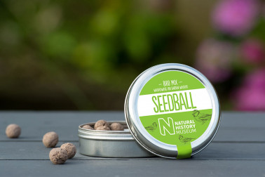 Bird Mix Seed Tin