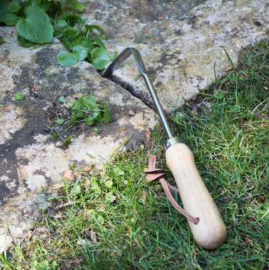  Weeding Finger - RHS Endorsed