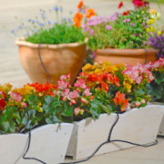 Pots & Container Watering Kit