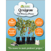 Quadgrow Self Watering Planter