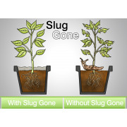 Slug Gone - Organic Slug Pellets