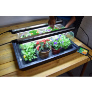 Geopod Heated Propagator with 60cm Lights