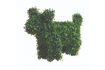 Buster The Dog Topiary