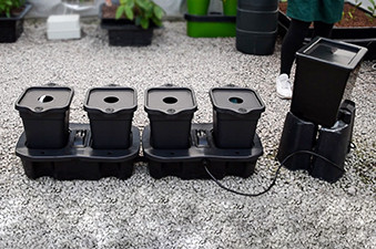 Quadgrow Planter With Single Holiday Watering Kit