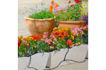 Pots & Container Watering Kit