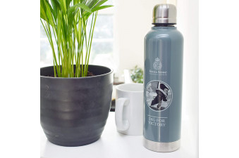 Stainless Steel Flask 