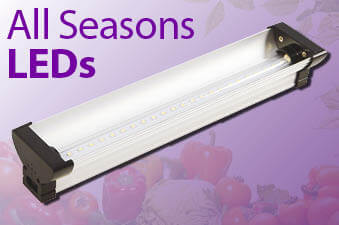 All Seasons LED Lighting