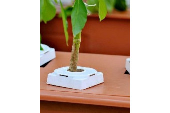 Cube Cap Covers (For Vivigrow Hydroponic Planter)