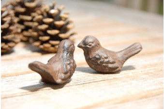 Friendship Birds