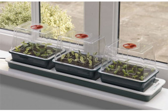 Windowsill Propagator - £32.95
