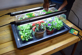 Geopod Heated Propagator with 60cm Lights