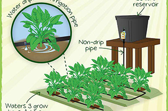 Timed Grow bag watering Kits From £39.00