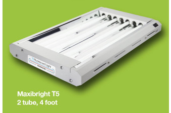 Propagation Light 120cm