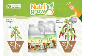 Nutrigrow Nutrients suitable for soft and hard water - Plant Feed