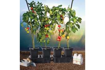 Set of 2 Quadgrows (for 8 plants) 