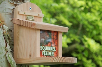 Heavy Duty Squirrel Feeder 