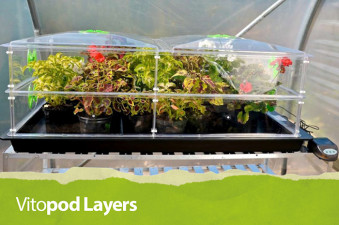 Vitopod Mini Greenhouse - Overwintering Plants
