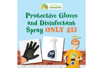 Protective Gloves & Disinfectant Spray