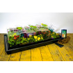 Unapod Heated Propagator 