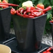 1 x 6 Litre Pot for Chilligrow Planter