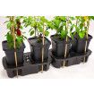 Mulch Cap & Cane Support Kit for Quadgrow