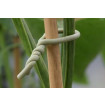 Soft Plant Tie 26ft