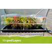 Vitopod Layers