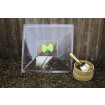 Vitopod Propagator Lid