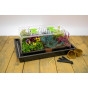 37w Unapod Heated Propagator + Digital Controller