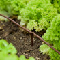 Raised Bed & Borders Watering Kit