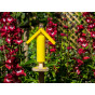 Butterfly & Bee Feeder - Garden Wildlife Habitats & Feeders 