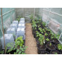 Quadgrow Protective Lids