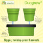 2x Duogrow Self-Watering Vegetable Planters 