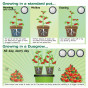 2x Duogrow Self-Watering Vegetable Planters 