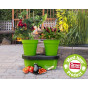 2x Duogrow Self-Watering Vegetable Planters