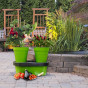 2x Duogrow Self-Watering Vegetable Planters 