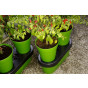 2x Duogrow Self-Watering Vegetable Planters 