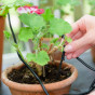 Greenhouse Watering Kit