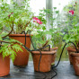 Greenhouse Watering Kit