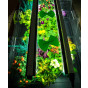 Geopod Heated Propagator with 90cm Propagation Light