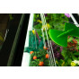 Geopod Heated Propagator with 90cm Propagation Light