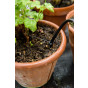 Greenhouse Watering Kit